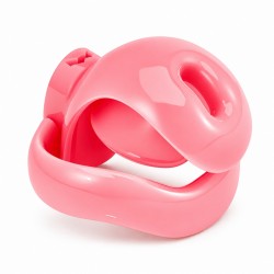 ������� ���� �������� Pin Buckle Ring Chastity Cage