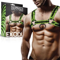 ������� ��������� ������ Glow In The Dark Bondage Chest Harness